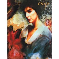 enya-watermark-principal