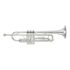 trompete-yamaha-yrt-3335-scn-bgd-principal