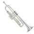 trompete-yamaha-yrt-3335-scn-bgd-delado