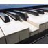 Piano-digital-roland-fp30x-bk-preto-completo-intermezzo-spina-3