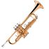 trompete-michael-WTRM30-laqueado-detalhe