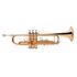 trompete-michael-WTRM30-laqueado
