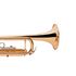 trompete-michael-WTRM30-laqueado-principal-campana