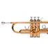 trompete-michael-WTRM30-laqueado-principal-chaves