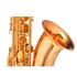 sax-tenor-michael-wtsm48-dual-gold-duplo-dourado-campana