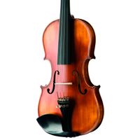 violino-Michael-VNM49-Ebano-Series-com-Estojo-corpo