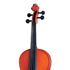 Violino-Michael-VNM40-escala