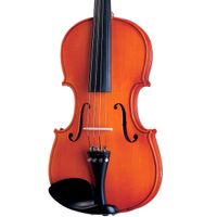 Violino-Michael-Vnm-30-principal