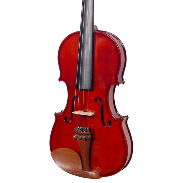 Violino-Michael-Vnm-146-principal