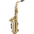 sa501-saxofone-alto-eagle-sa501-laqueado-dourado-frontal-intermezzo-spina2 sa501-saxofone-alto-eagle-sa501-laqueado-dourado-frontal-intermezzo-spina2